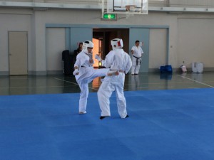 IMG_0533